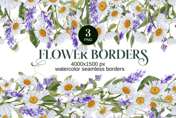 Download Watercolor Daisies, Lavender Borders PNG - Premium Bundle